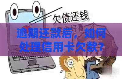逾期还款后，如何处理信用卡欠款？最全面的信用资讯为你指引！