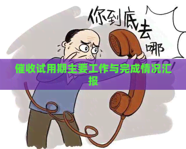 试用期主要工作与完成情况汇报