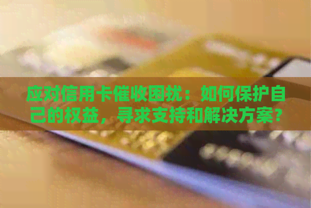 应对信用卡困扰：如何保护自己的权益，寻求支持和解决方案？