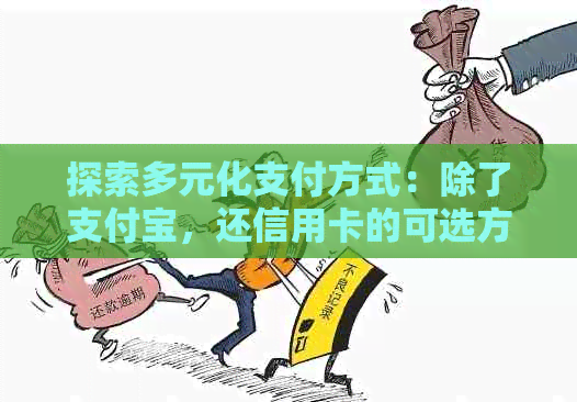 探索多元化支付方式：除了支付宝，还信用卡的可选方案有哪些？