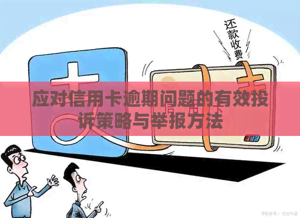 应对信用卡逾期问题的有效投诉策略与举报方法