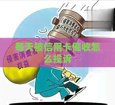 每天被信用卡怎么投诉