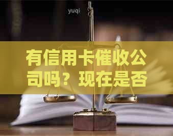 有信用卡公司吗？现在是否有行业？