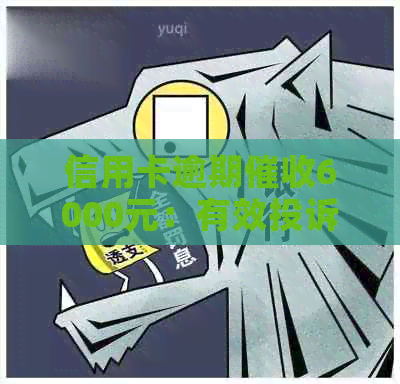 信用卡逾期6000元：有效投诉策略与应对方法