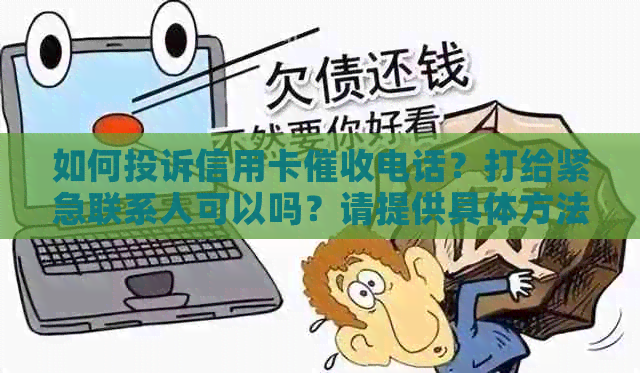 如何投诉信用卡电话？打给紧急联系人可以吗？请提供具体方法。