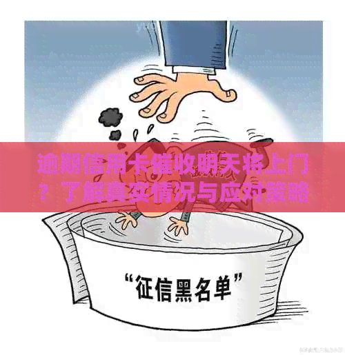 逾期信用卡明天将上门？了解真实情况与应对策略