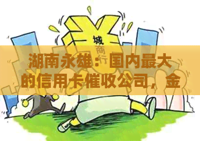 湖南永雄：国内更大的信用卡公司，金融信用排名哪家靠前？