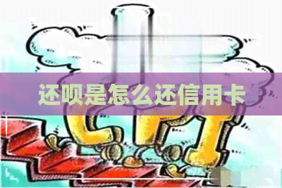 还款是怎么还信用卡