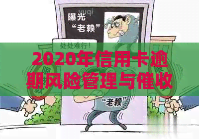 2020年信用卡逾期风险管理与策略研究