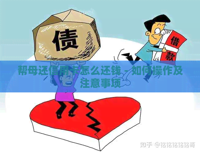 帮母还信用卡怎么还钱 - 如何操作及注意事项