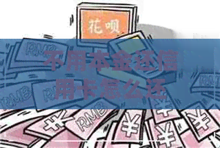 不用本金还信用卡怎么还