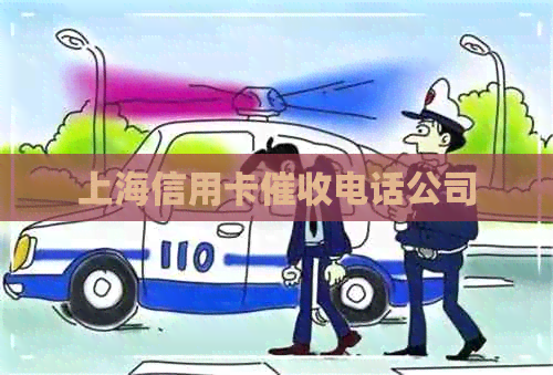 上海信用卡电话公司