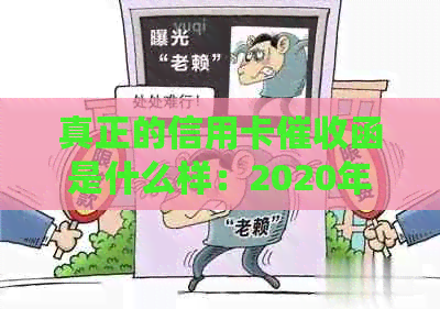 真正的信用卡函是什么样：2020年规定，含章，不相关字去掉