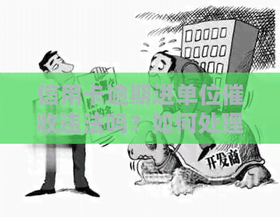 信用卡逾期进单位违法吗？如何处理及举报？