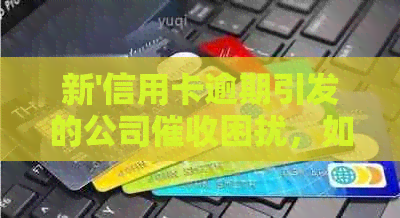 新'信用卡逾期引发的公司困扰，如何有效处理？'