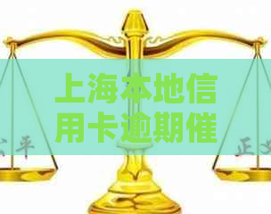 上海本地信用卡逾期实战指南：应对银行电话与上门纠缠的有效方法