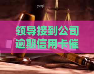领导接到公司逾期信用卡电话后的应对策略
