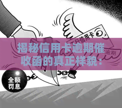 揭秘信用卡逾期函的真正样貌：资讯网独家图片展示及活动详情