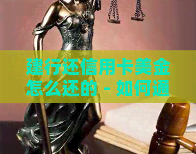 建行还信用卡美金怎么还的 - 如何通过建行还款美元信用卡账单