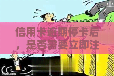 信用卡逾期停卡后，是否需要立即注销？如何妥善处理以避免影响信用记录？