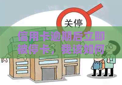 信用卡逾期后立即被停卡，我该如何应对？