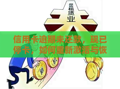 信用卡逾期未还款，现已停卡，如何重新激活与恢复信用？