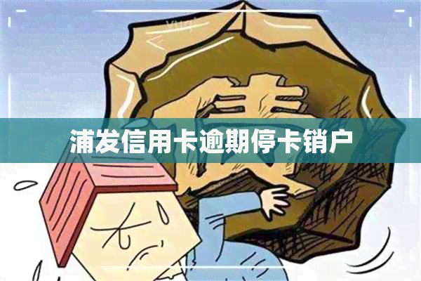 浦发信用卡逾期停卡销户