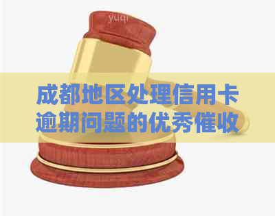 成都地区处理信用卡逾期问题的优秀公司推荐