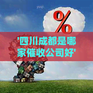 '四川成都是哪家公司好'