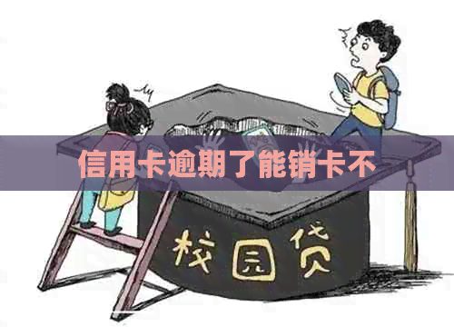 信用卡逾期了能销卡不