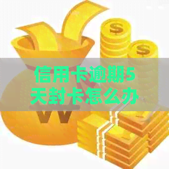 信用卡逾期5天封卡怎么办：解封策略与预防措