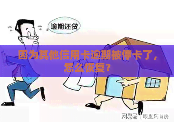 因为其他信用卡逾期被停卡了，怎么恢复？