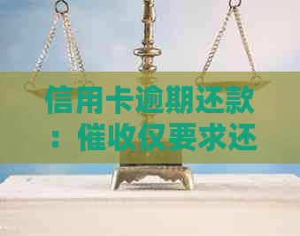 信用卡逾期还款：仅要求还本金是否可信？真的吗？