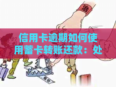 信用卡逾期如何使用蓄卡转账还款：处理指南