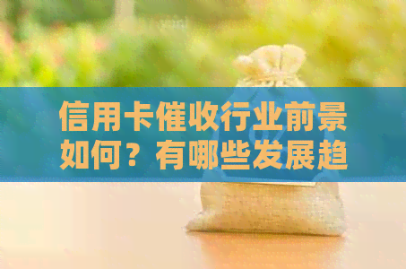 信用卡行业前景如何？有哪些发展趋势和挑战？-2020年信用卡现状