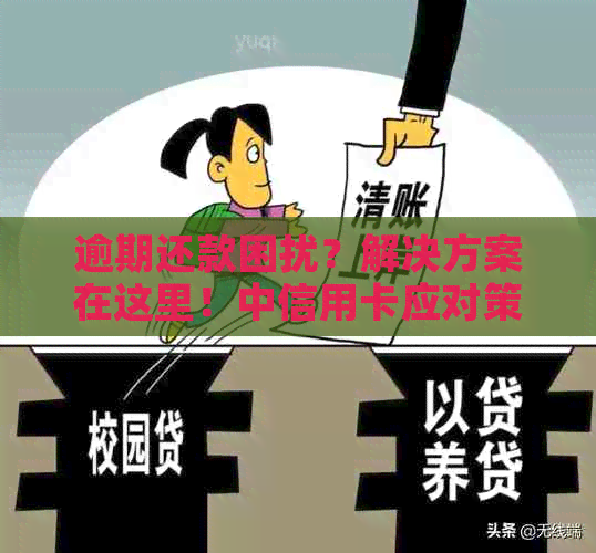 逾期还款困扰？解决方案在这里！中信用卡应对策略全解析