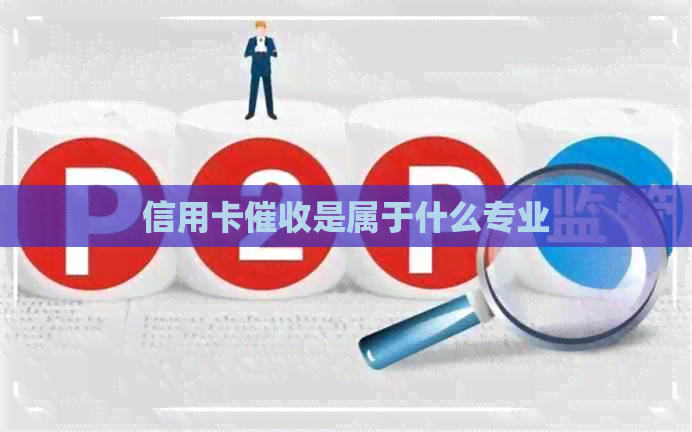 信用卡是属于什么专业