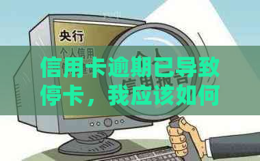 信用卡逾期已导致停卡，我应该如何解决？逾期还款的影响及解决方案详解