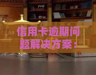 信用卡逾期问题解决方案：银行外包服务建议书