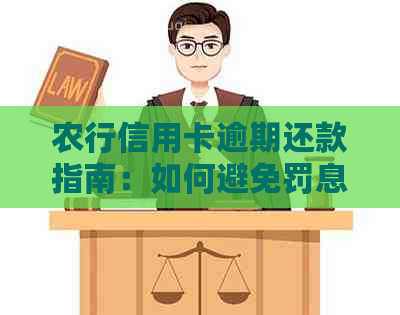 农行信用卡逾期还款指南：如何避免罚息和信用损失？