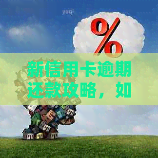 新信用卡逾期还款攻略，如何应对逾期问题并尽快解除影响？