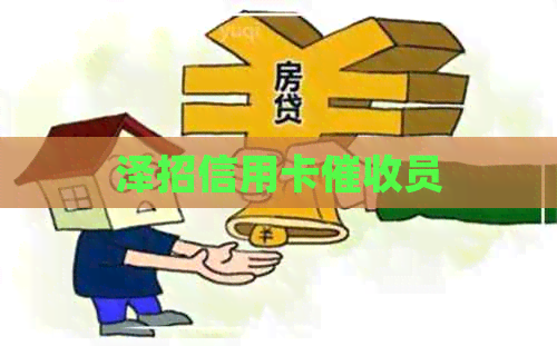 泽招信用卡员