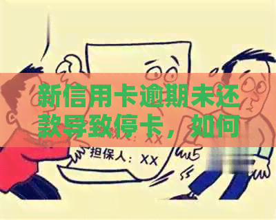 新信用卡逾期未还款导致停卡，如何重新开通及解决逾期问题？