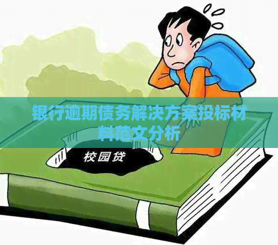 银行逾期债务解决方案投标材料范文分析