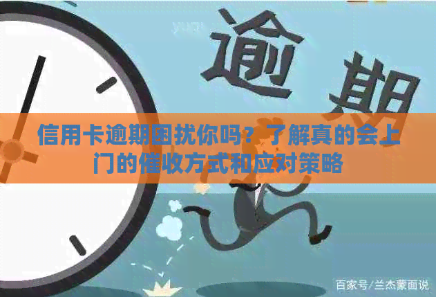 信用卡逾期困扰你吗？了解真的会上门的方式和应对策略