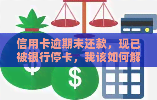 信用卡逾期未还款，现已被银行停卡，我该如何解决？