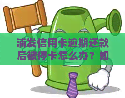 浦发信用卡逾期还款后被停卡怎么办？如何恢复信用并解决问题？