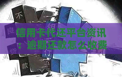 信用卡代还平台资讯：逾期还款怎么收费？手续费多少？