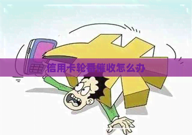 信用卡轮番怎么办