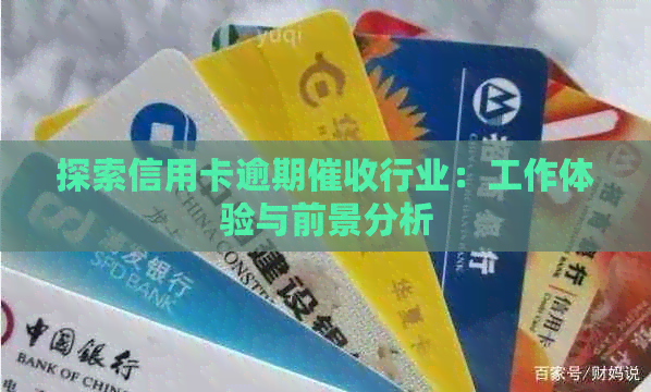 探索信用卡逾期行业：工作体验与前景分析